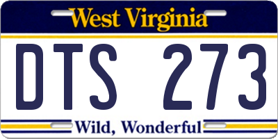 WV license plate DTS273