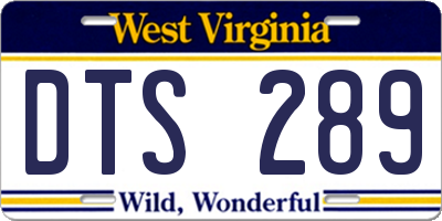 WV license plate DTS289