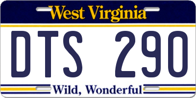 WV license plate DTS290