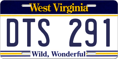 WV license plate DTS291