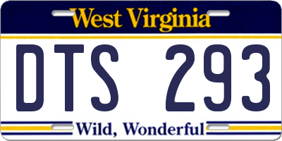 WV license plate DTS293