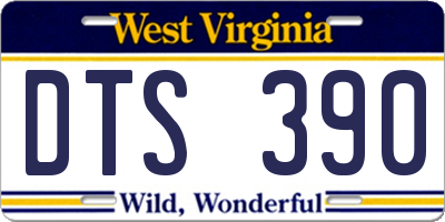 WV license plate DTS390