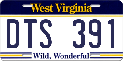 WV license plate DTS391