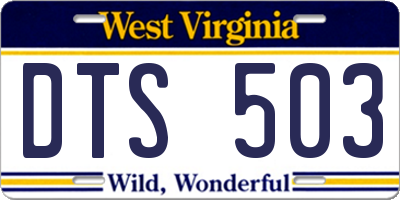 WV license plate DTS503