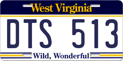 WV license plate DTS513
