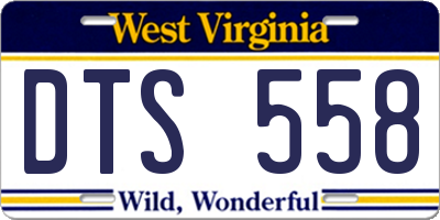 WV license plate DTS558