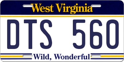 WV license plate DTS560