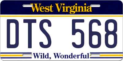 WV license plate DTS568