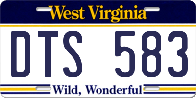 WV license plate DTS583