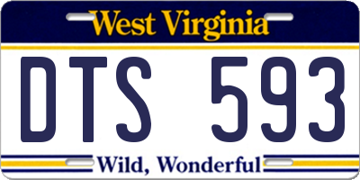 WV license plate DTS593