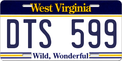 WV license plate DTS599