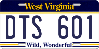 WV license plate DTS601