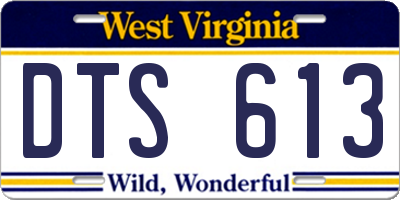WV license plate DTS613