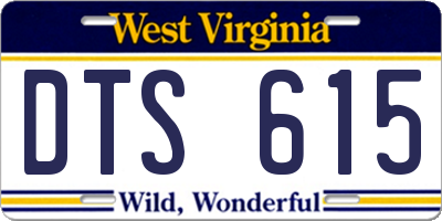 WV license plate DTS615