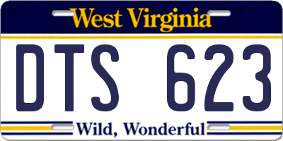 WV license plate DTS623