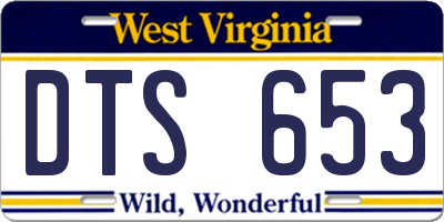 WV license plate DTS653
