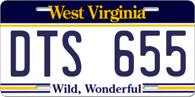 WV license plate DTS655
