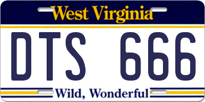 WV license plate DTS666