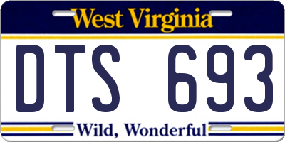 WV license plate DTS693