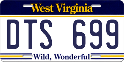 WV license plate DTS699