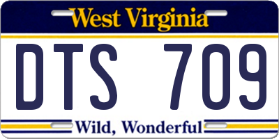WV license plate DTS709