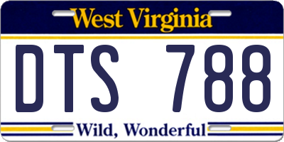 WV license plate DTS788