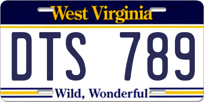 WV license plate DTS789