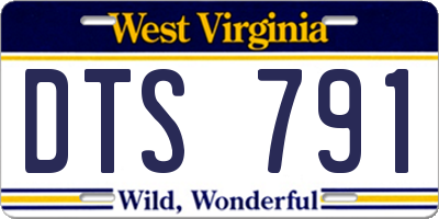 WV license plate DTS791