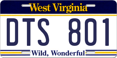 WV license plate DTS801