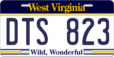 WV license plate DTS823