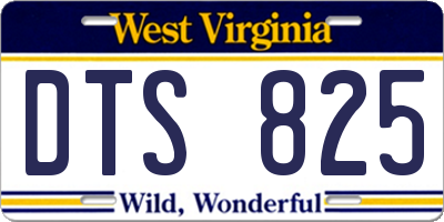 WV license plate DTS825