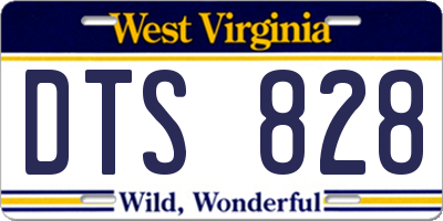 WV license plate DTS828