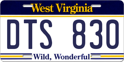 WV license plate DTS830