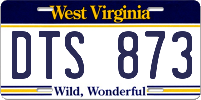 WV license plate DTS873