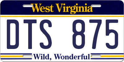 WV license plate DTS875