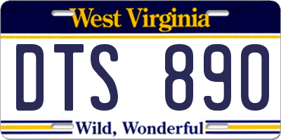 WV license plate DTS890
