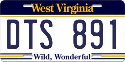 WV license plate DTS891