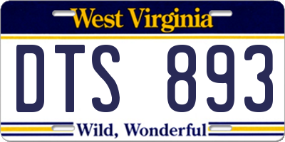 WV license plate DTS893