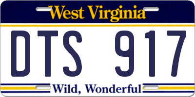 WV license plate DTS917