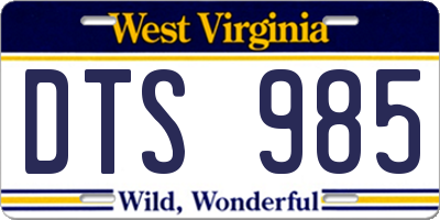 WV license plate DTS985