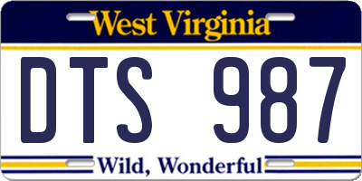 WV license plate DTS987