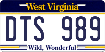 WV license plate DTS989