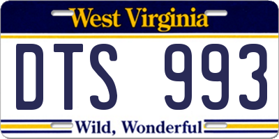 WV license plate DTS993