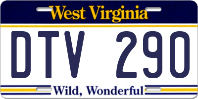 WV license plate DTV290