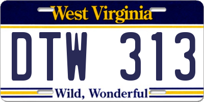 WV license plate DTW313