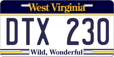 WV license plate DTX230