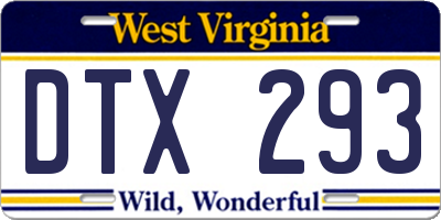 WV license plate DTX293