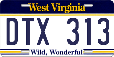 WV license plate DTX313