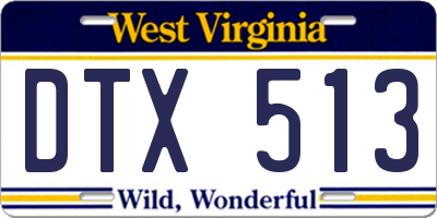WV license plate DTX513