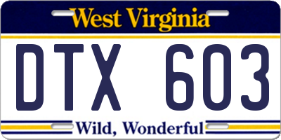 WV license plate DTX603